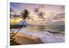 Caribbean, Barbados, Bottom Bay, Bottom Bay Beach-Alan Copson-Framed Photographic Print