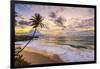 Caribbean, Barbados, Bottom Bay, Bottom Bay Beach-Alan Copson-Framed Photographic Print