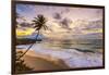 Caribbean, Barbados, Bottom Bay, Bottom Bay Beach-Alan Copson-Framed Premium Photographic Print