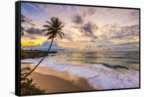 Caribbean, Barbados, Bottom Bay, Bottom Bay Beach-Alan Copson-Framed Stretched Canvas