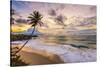 Caribbean, Barbados, Bottom Bay, Bottom Bay Beach-Alan Copson-Stretched Canvas