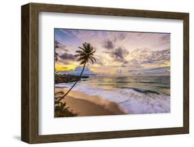 Caribbean, Barbados, Bottom Bay, Bottom Bay Beach-Alan Copson-Framed Photographic Print