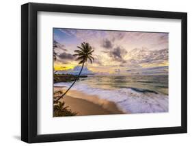 Caribbean, Barbados, Bottom Bay, Bottom Bay Beach-Alan Copson-Framed Photographic Print