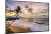 Caribbean, Barbados, Bottom Bay, Bottom Bay Beach-Alan Copson-Mounted Photographic Print