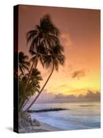 Caribbean, Barbados, Mullins Beach-Michele Falzone-Stretched Canvas