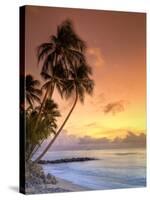 Caribbean, Barbados, Mullins Beach-Michele Falzone-Stretched Canvas