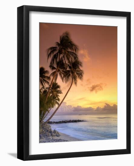 Caribbean, Barbados, Mullins Beach-Michele Falzone-Framed Photographic Print