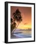 Caribbean, Barbados, Mullins Beach-Michele Falzone-Framed Photographic Print