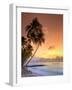 Caribbean, Barbados, Mullins Beach-Michele Falzone-Framed Photographic Print