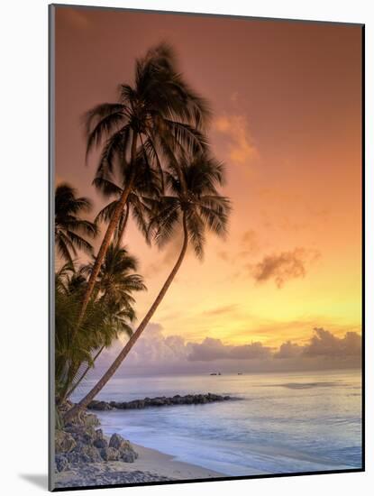 Caribbean, Barbados, Mullins Beach-Michele Falzone-Mounted Photographic Print