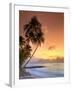 Caribbean, Barbados, Mullins Beach-Michele Falzone-Framed Photographic Print