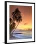 Caribbean, Barbados, Mullins Beach-Michele Falzone-Framed Photographic Print