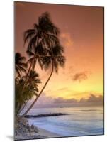 Caribbean, Barbados, Mullins Beach-Michele Falzone-Mounted Photographic Print