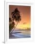 Caribbean, Barbados, Mullins Beach-Michele Falzone-Framed Photographic Print