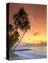 Caribbean, Barbados, Mullins Beach-Michele Falzone-Stretched Canvas