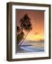 Caribbean, Barbados, Mullins Beach-Michele Falzone-Framed Photographic Print