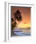 Caribbean, Barbados, Mullins Beach-Michele Falzone-Framed Photographic Print