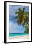 Caribbean, Barbados, Oistins, Miami Beach or Enterprise Beach-Alan Copson-Framed Photographic Print