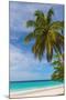 Caribbean, Barbados, Oistins, Miami Beach or Enterprise Beach-Alan Copson-Mounted Photographic Print