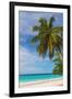 Caribbean, Barbados, Oistins, Miami Beach or Enterprise Beach-Alan Copson-Framed Photographic Print