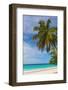 Caribbean, Barbados, Oistins, Miami Beach or Enterprise Beach-Alan Copson-Framed Photographic Print