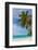 Caribbean, Barbados, Oistins, Miami Beach or Enterprise Beach-Alan Copson-Framed Photographic Print