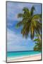 Caribbean, Barbados, Oistins, Miami Beach or Enterprise Beach-Alan Copson-Mounted Photographic Print