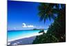 Caribbean Beach, Saint John, USVI-George Oze-Mounted Photographic Print