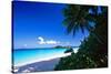 Caribbean Beach, Saint John, USVI-George Oze-Stretched Canvas