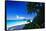 Caribbean Beach, Saint John, USVI-George Oze-Framed Stretched Canvas