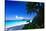 Caribbean Beach, Saint John, USVI-George Oze-Stretched Canvas