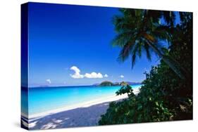 Caribbean Beach, Saint John, USVI-George Oze-Stretched Canvas