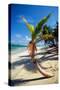 Caribbean Beach with Beautiful Palm-pashapixel-Stretched Canvas