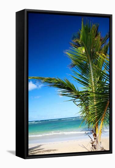 Caribbean Beach with Beautiful Palm-pashapixel-Framed Stretched Canvas