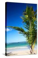Caribbean Beach with Beautiful Palm-pashapixel-Stretched Canvas