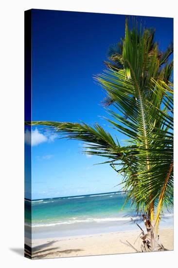 Caribbean Beach with Beautiful Palm-pashapixel-Stretched Canvas