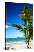 Caribbean Beach with Beautiful Palm-pashapixel-Stretched Canvas