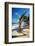 Caribbean Beach with Beautiful Palm-pashapixel-Framed Photographic Print