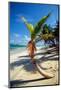 Caribbean Beach with Beautiful Palm-pashapixel-Mounted Photographic Print