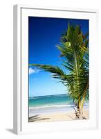 Caribbean Beach with Beautiful Palm-pashapixel-Framed Photographic Print