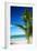 Caribbean Beach with Beautiful Palm-pashapixel-Framed Photographic Print