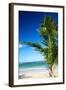 Caribbean Beach with Beautiful Palm-pashapixel-Framed Photographic Print