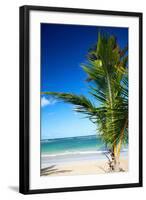 Caribbean Beach with Beautiful Palm-pashapixel-Framed Photographic Print