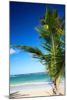 Caribbean Beach with Beautiful Palm-pashapixel-Mounted Photographic Print