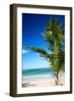 Caribbean Beach with Beautiful Palm-pashapixel-Framed Photographic Print