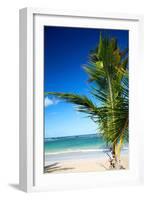 Caribbean Beach with Beautiful Palm-pashapixel-Framed Photographic Print