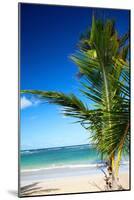 Caribbean Beach with Beautiful Palm-pashapixel-Mounted Photographic Print