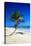 Caribbean Beach with Beautiful Palms and White Sand-pashapixel-Stretched Canvas