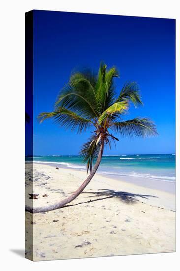 Caribbean Beach with Beautiful Palms and White Sand-pashapixel-Stretched Canvas