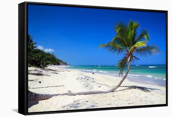 Caribbean Beach with Beautiful Palms and White Sand-pashapixel-Framed Stretched Canvas